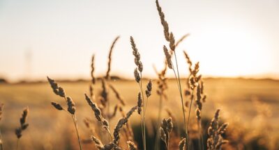 Diferencia Entre TLP Y Bipolaridad