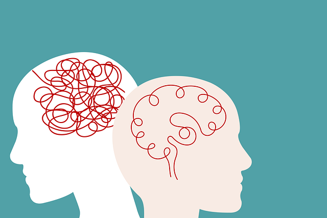 Diferencia Entre TLP Y Bipolaridad